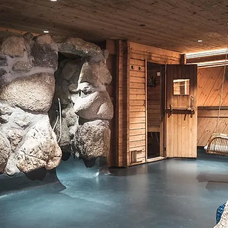 Sport & Wellness Falkenstein - Natural Swimming - Matrix Gym - Summercard Inklusive - Authentic Experience - Flying Wellness With Pool Kaprun